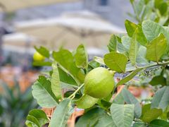 -墨居上隐·院子里火锅(峨眉店)