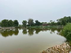 -西海子公园