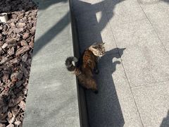 -龙华素斋(龙华路店)