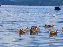 -丽江泸沽湖景区