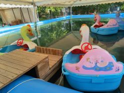 -萌宠亲子动物乐园(槐房万达店)