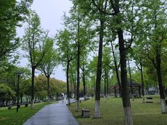 -苏州太湖湖滨国家湿地公园