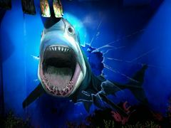 -船奇蒸汽海鲜·闽菜(八市海鲜总店)