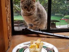 -马勒别墅·中餐厅