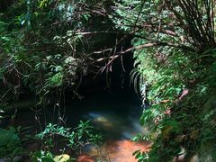 -赤水丹霞旅游区·佛光岩