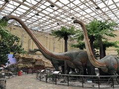 -国家自然博物馆