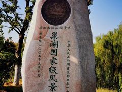 -合肥滨湖国家森林公园