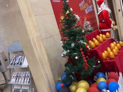 -碧莲盛·不剃发植发