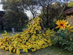 -杭州开元森泊度假乐园