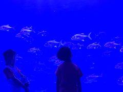 -波塞冬旅游度假区