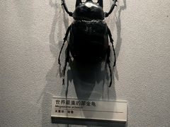 -天津自然博物馆