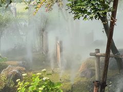 -上海植物园-4号门售票处