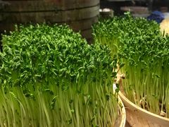 -千稻剁椒大鱼头(CityOn熙地港店)