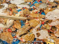 -半岛听涛蒸汽海鲜自助(K11店)