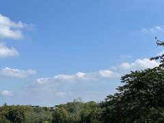 -秦岭风景区