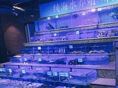 -青蓬蒸汽海鲜·深圳老字号·团建聚会(壹方城店)