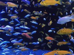 -成都浩海立方海洋公园