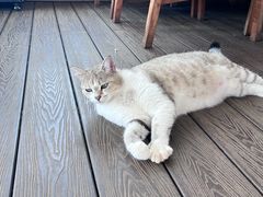 -六阅·福十 FORTEN 海景咖啡西餐厅(双廊古镇店)