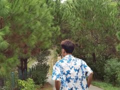 -广东惠东海龟国家级自然保护区