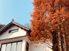 -西湖风景区十里琅珰-五云山