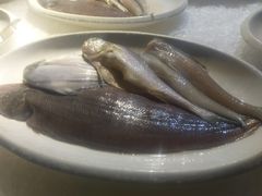 -万景饭店·鱼街农家菜