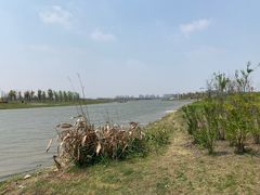 -春花秋色城市公园