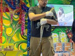 -上海大自然野生昆虫馆(东方明珠·爬宠昆虫探索中心)