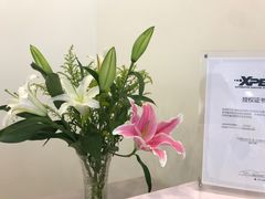 -XPEL旗舰店·汽车贴膜·隐形车衣·改色贴膜