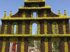 -武清南湖绿博园