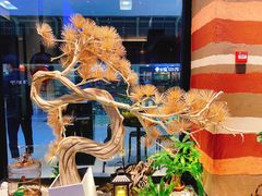 -老湘亲·品鉴湘菜(蔡塘爱琴海店)