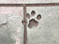 -叠溪松坪沟景区