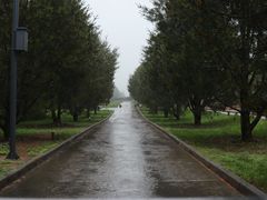 -秦始皇帝陵博物院-丽山园