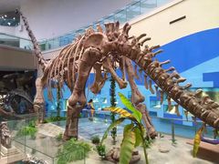 -陕西自然博物馆