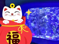 -欢乐海岸海洋奇梦馆