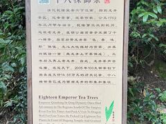 -十八棵（老龙井）御茶园(老龙井店)