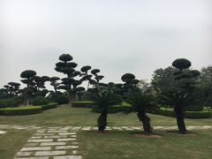 -南宁南湖公园