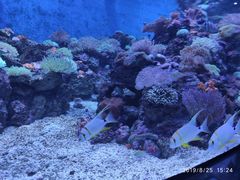 -成都浩海立方海洋公园