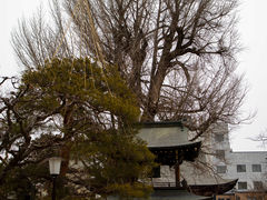 -医王山·飞騨国分寺