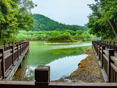 -广州白江湖森林公园