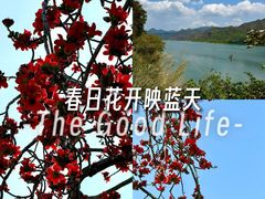 -羚羊峡古栈道森林公园