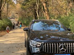 -紫金山山顶公园