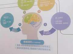 -多特儿童专注力·感统训练·注意力提升培训(金山万达中心)
