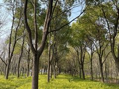 -嘉北郊野公园
