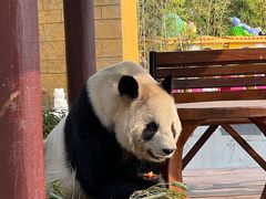 -杭州野生动物世界