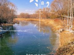 -大兴滨河森林公园