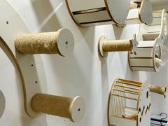 -楼上猫咖(罗湖店)