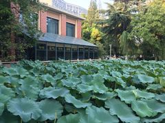 -中国科技大学-专家楼食堂