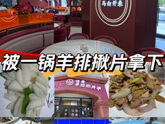 -特克斯八卦城