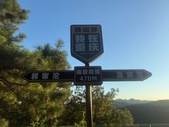 -铁山坪森林公园