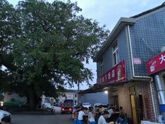 -大树下饭店(春晓镇慈岙社区卫生服务站南)